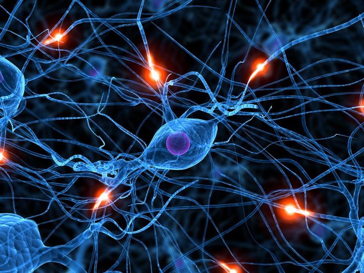 6 Scientific Reasons Visuals Increase Engagement 1 1 uOXCiXujgyM2c1HoO9ACAA