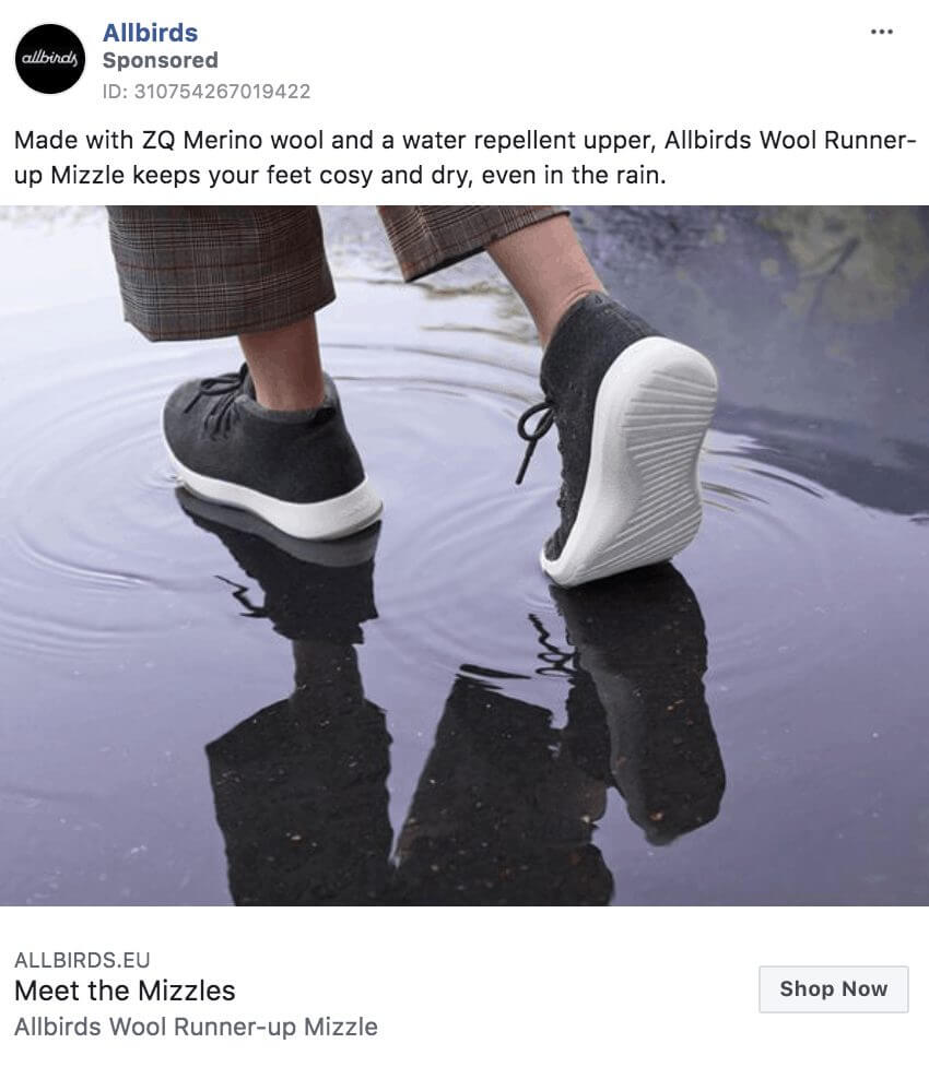 101 eComm Brands Making Facebook Ads You’ll Want to Click 41 Allbirds