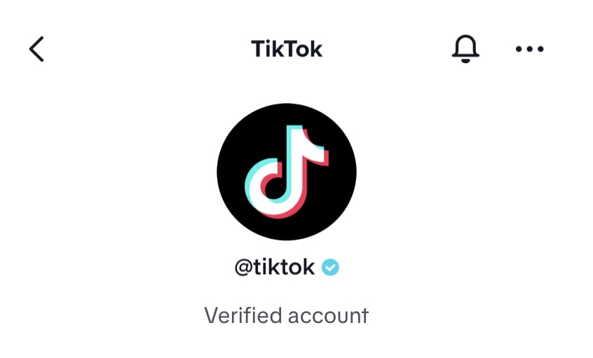 How to Get Verified on TikTok (2024 Guide) 1 How To Get Verified On Tiktok 2022 Guide 1