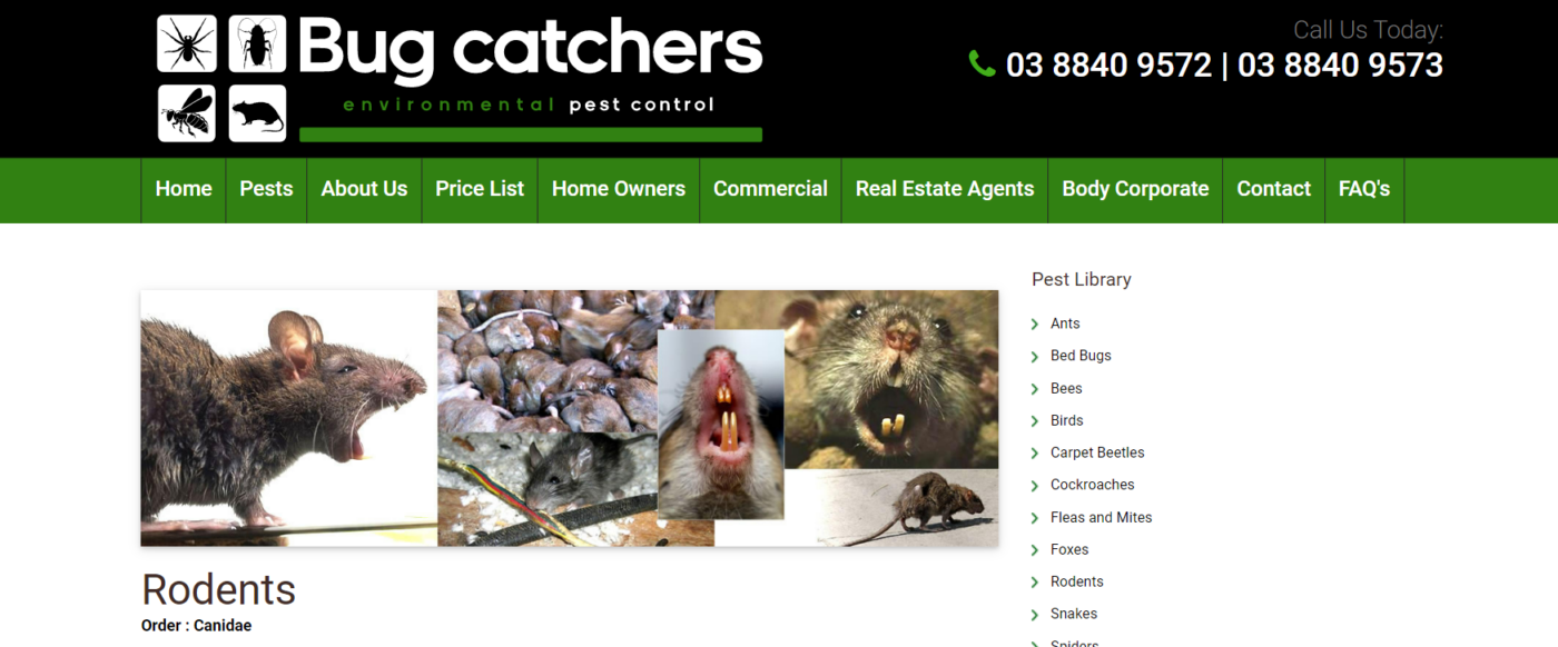 9 Ways to Generate More Leads From Your Website 4 Image12 5