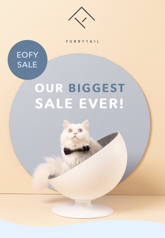 How to Grow an e-Commerce Pets Brand in 2024 4 Our Biggest Sale